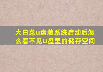 大白菜u盘装系统启动后怎么看不见U盘里的储存空间