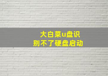 大白菜u盘识别不了硬盘启动