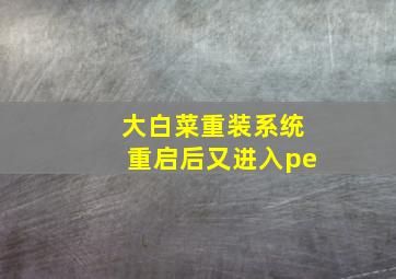 大白菜重装系统重启后又进入pe