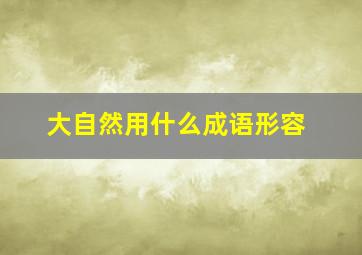 大自然用什么成语形容