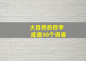 大自然的四字成语30个词语