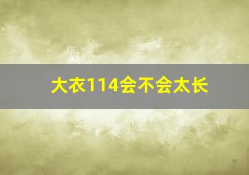 大衣114会不会太长