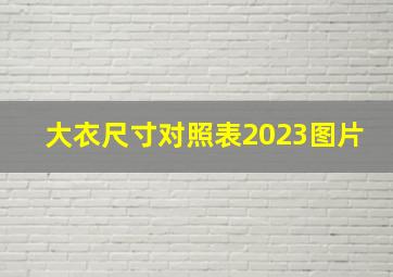 大衣尺寸对照表2023图片