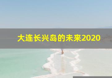 大连长兴岛的未来2020