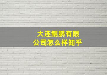 大连鲲鹏有限公司怎么样知乎