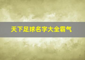 天下足球名字大全霸气