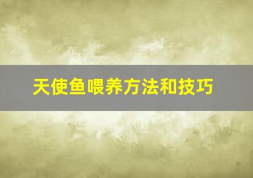 天使鱼喂养方法和技巧