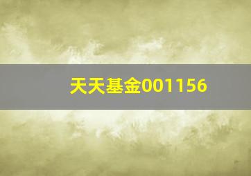 天天基金001156