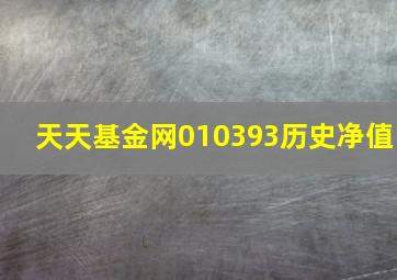 天天基金网010393历史净值