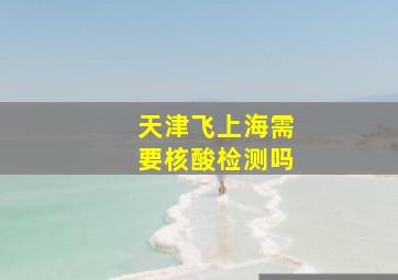 天津飞上海需要核酸检测吗