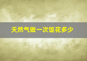 天然气做一次饭花多少