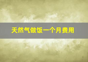 天然气做饭一个月费用