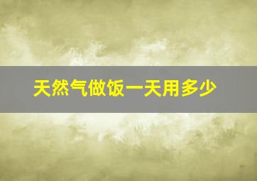 天然气做饭一天用多少