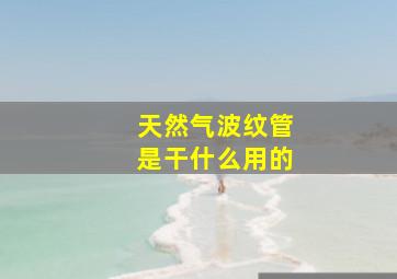 天然气波纹管是干什么用的