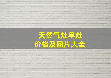 天然气灶单灶价格及图片大全