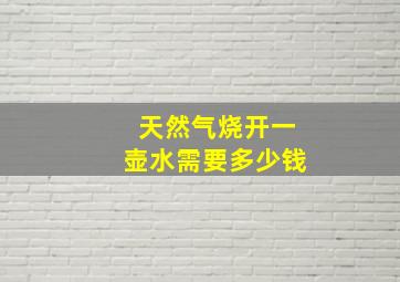 天然气烧开一壶水需要多少钱