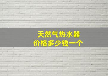 天然气热水器价格多少钱一个