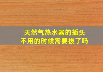 天然气热水器的插头不用的时候需要拔了吗