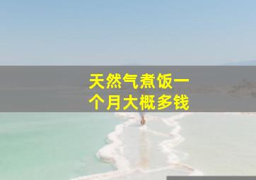 天然气煮饭一个月大概多钱