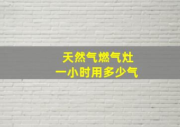 天然气燃气灶一小时用多少气