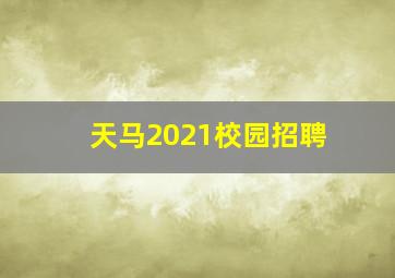 天马2021校园招聘