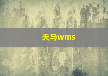 天马wms