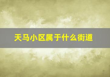 天马小区属于什么街道