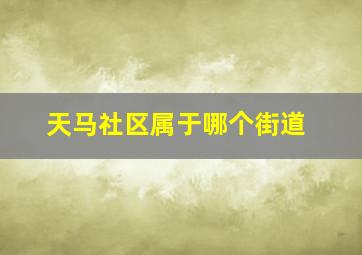 天马社区属于哪个街道