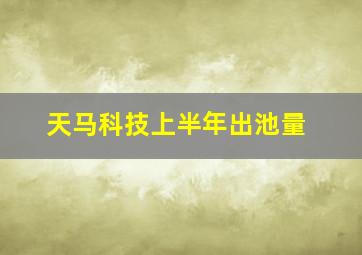 天马科技上半年出池量