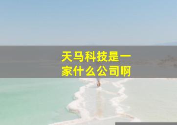 天马科技是一家什么公司啊