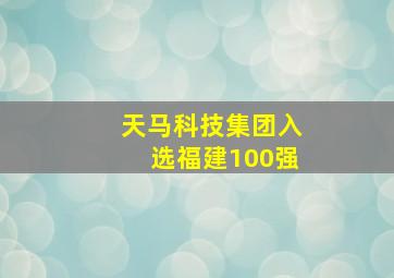 天马科技集团入选福建100强