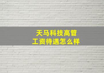 天马科技高管工资待遇怎么样