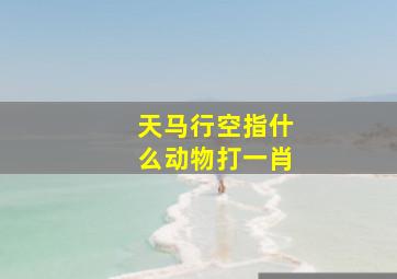 天马行空指什么动物打一肖