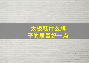 太极鞋什么牌子的质量好一点