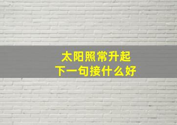 太阳照常升起下一句接什么好