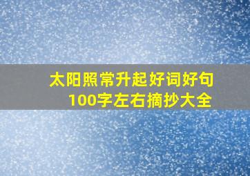 太阳照常升起好词好句100字左右摘抄大全