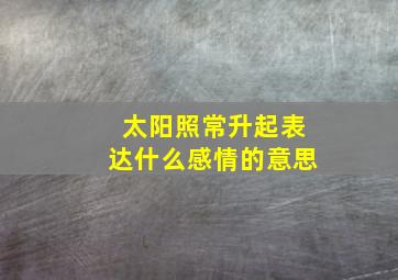 太阳照常升起表达什么感情的意思