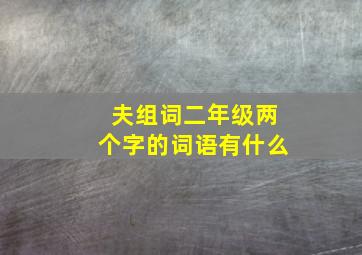 夫组词二年级两个字的词语有什么