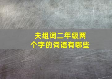 夫组词二年级两个字的词语有哪些