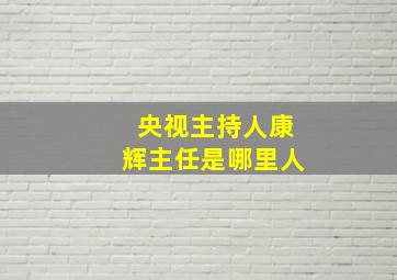 央视主持人康辉主任是哪里人