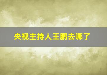 央视主持人王鹏去哪了