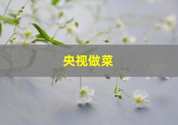 央视做菜