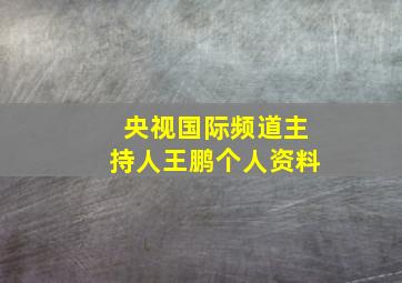 央视国际频道主持人王鹏个人资料