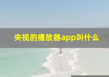 央视的播放器app叫什么