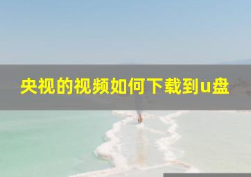 央视的视频如何下载到u盘