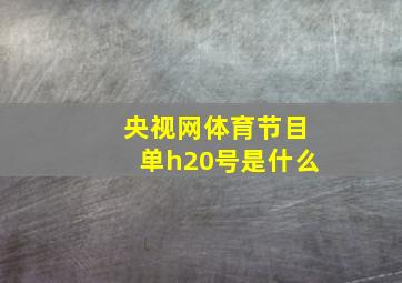 央视网体育节目单h20号是什么