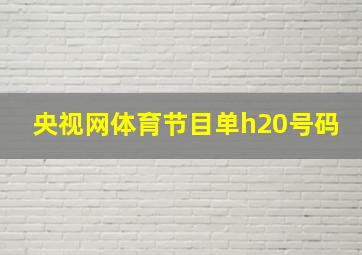 央视网体育节目单h20号码