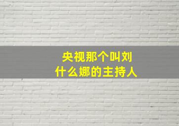 央视那个叫刘什么娜的主持人