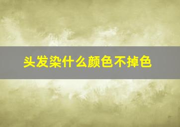 头发染什么颜色不掉色