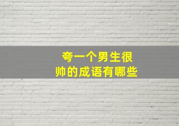 夸一个男生很帅的成语有哪些